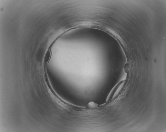 X0000068831475200605051223