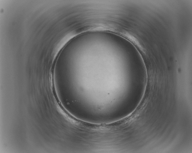 X0000068831476200605051223