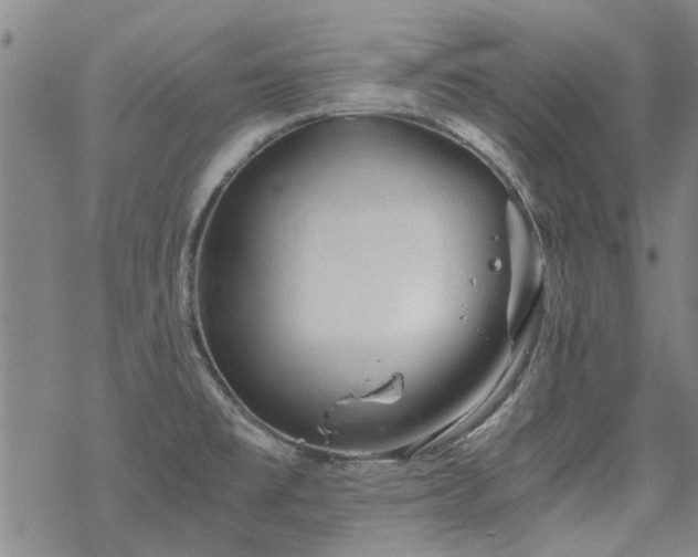 X0000068831477200605051223