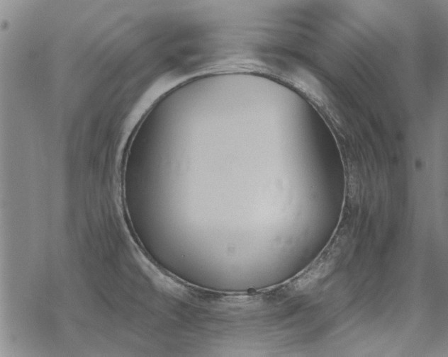 X0000068831478200605051223