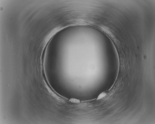 X0000068831479200605051223