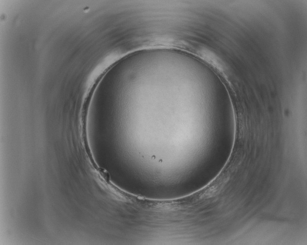 X0000068831480200605051223