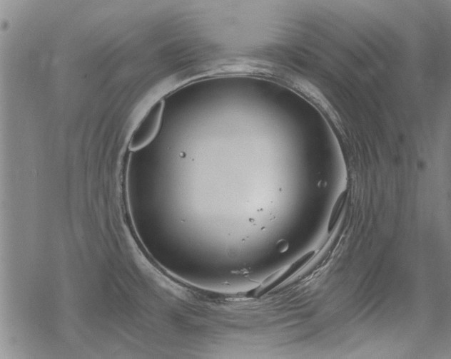 X0000068831483200605051223