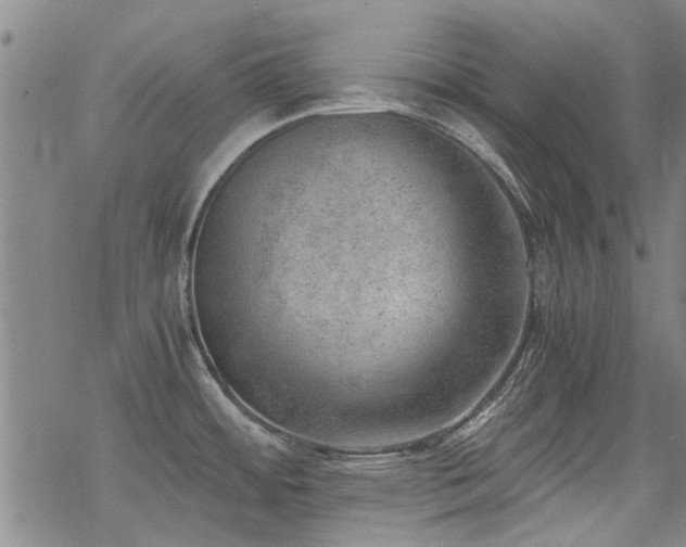 X0000068831484200605051223