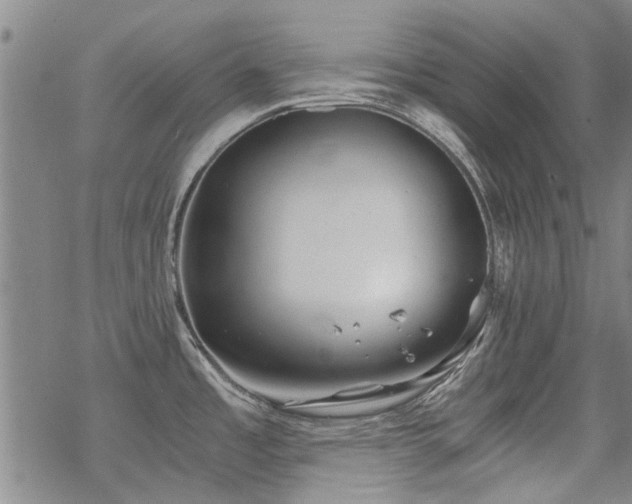 X0000068831485200605051223