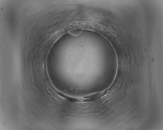 X0000068831489200605051222