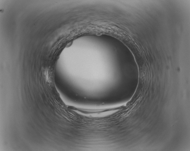 X0000068831490200605051222