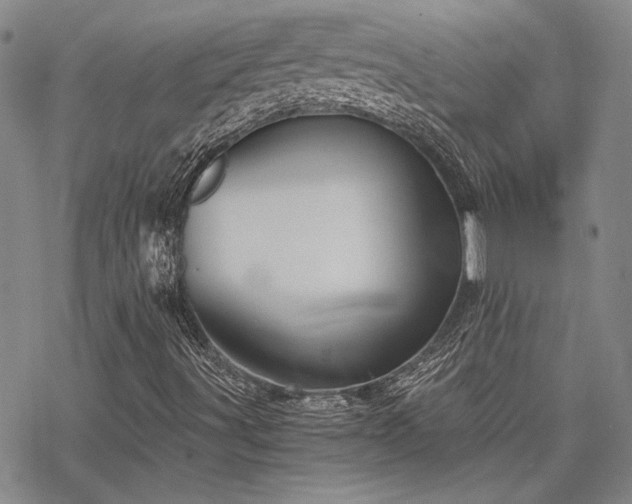 X0000068831491200605051223