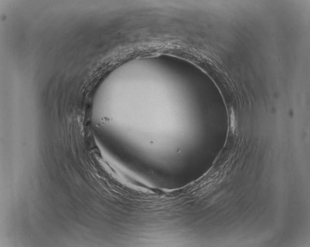 X0000068831492200605051223