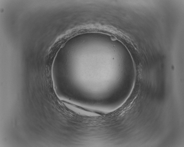 X0000068831494200605051223