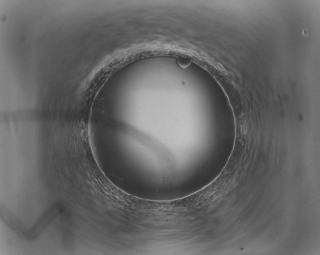 X0000068831495200605051223