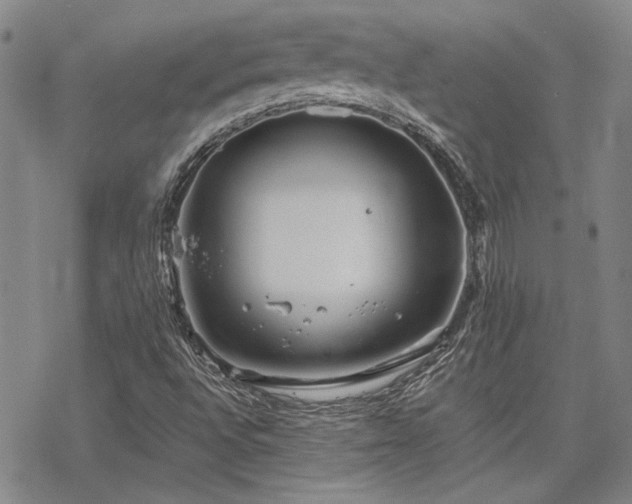 X0000068831496200605051223