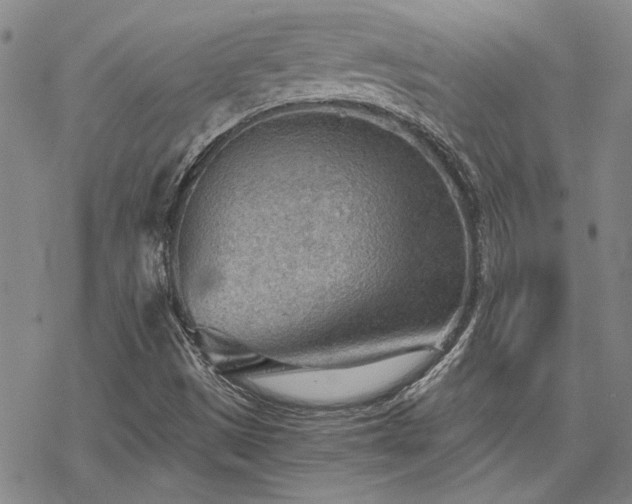 X0000068831497200605051223