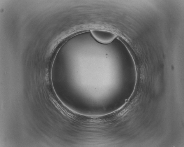 X0000068831499200605051223