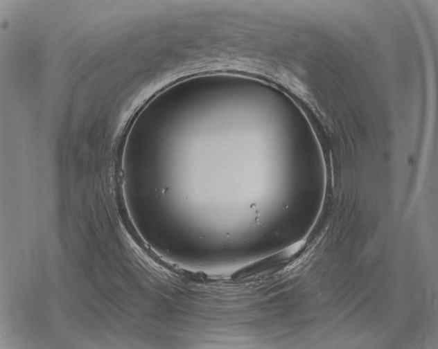 X0000068831500200605051223