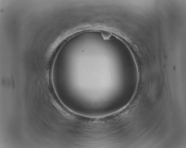 X0000068831503200605051223