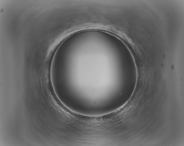 X0000068831504200605051223