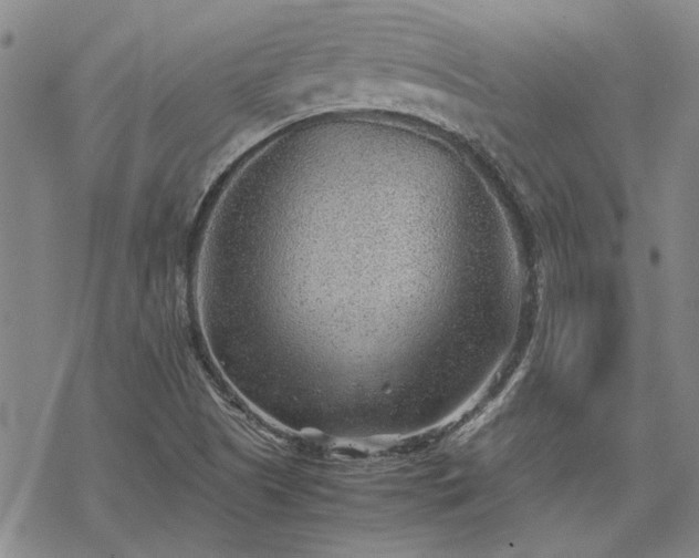 X0000068831505200605051223