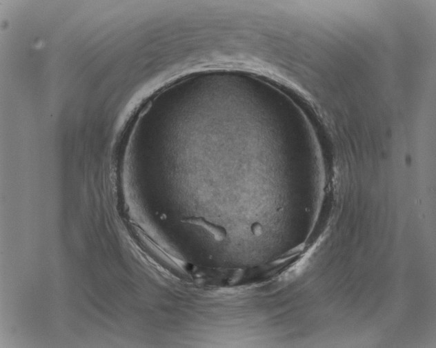 X0000068831506200605051223