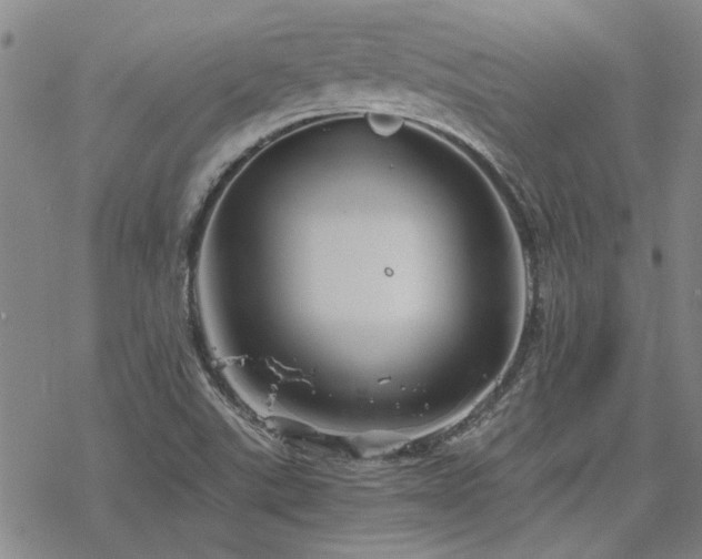 X0000068831507200605051223