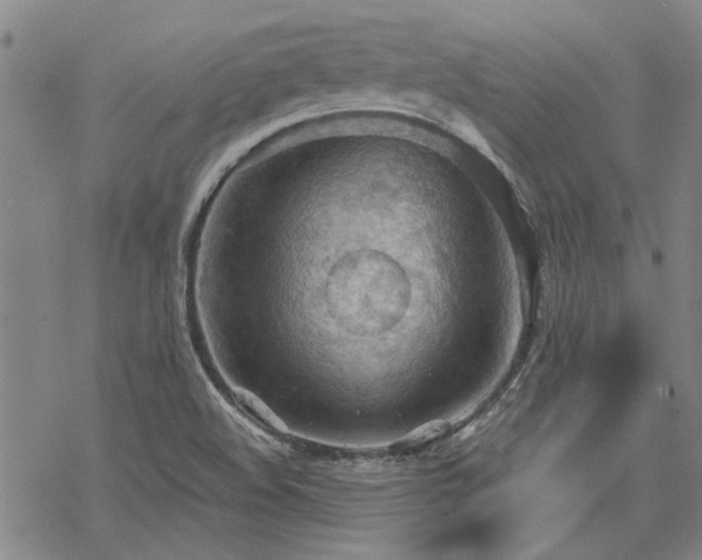 X0000068831508200605051223