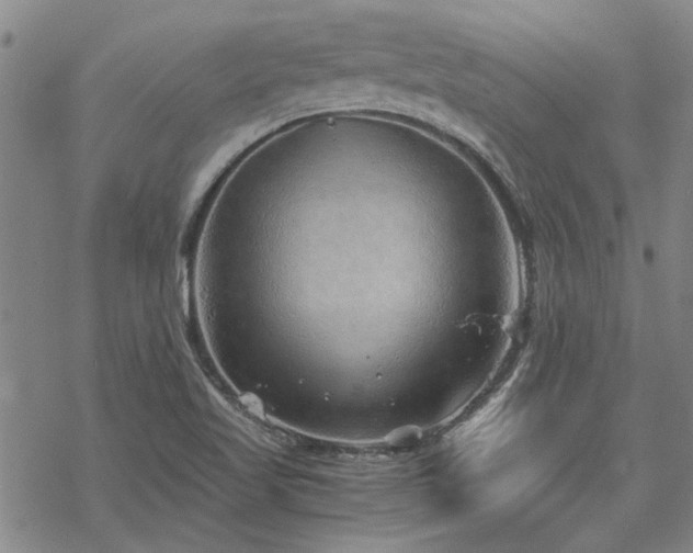 X0000068831509200605051223