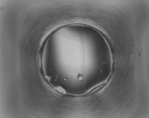 X0000068831510200605051223