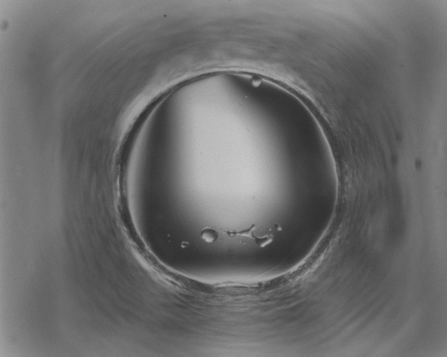 X0000068831511200605051223