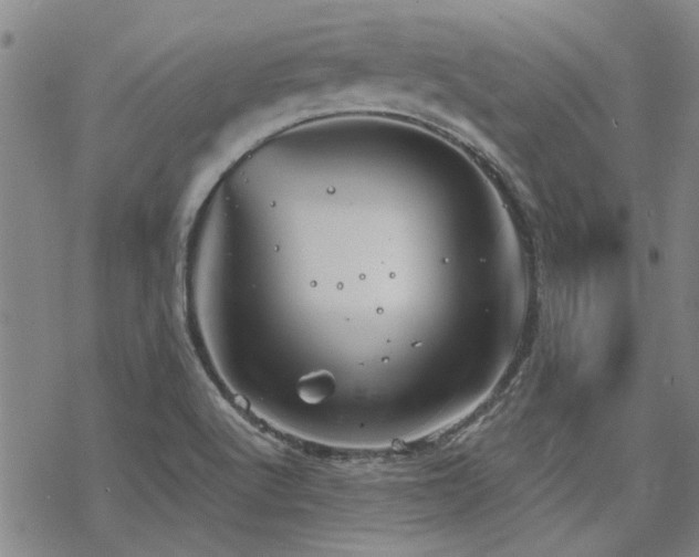 X0000068831512200605051223