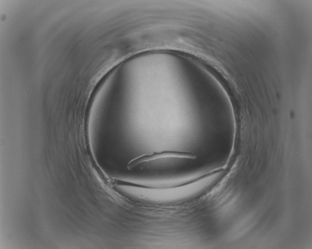 X0000068831513200605051223