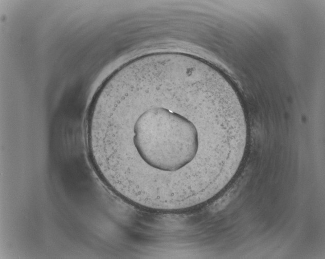 X0000068831514200605051223