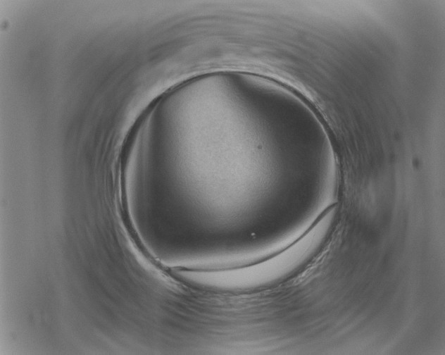 X0000068831515200605051223