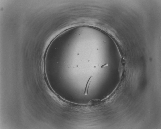 X0000068831516200605051223