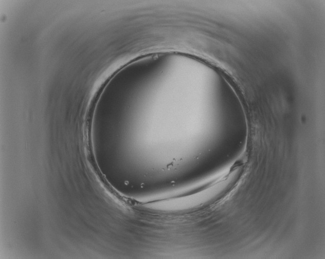 X0000068831517200605051223