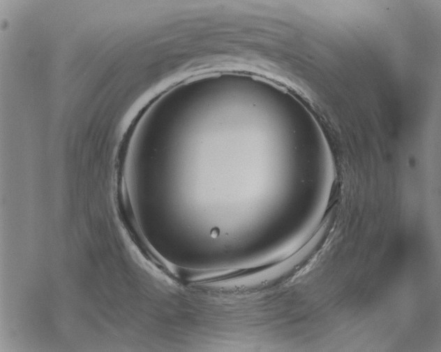 X0000068831518200605051223