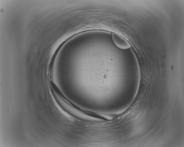 X0000068831519200605051223