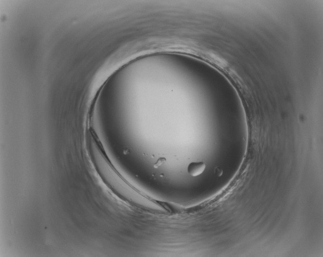 X0000068831520200605051223