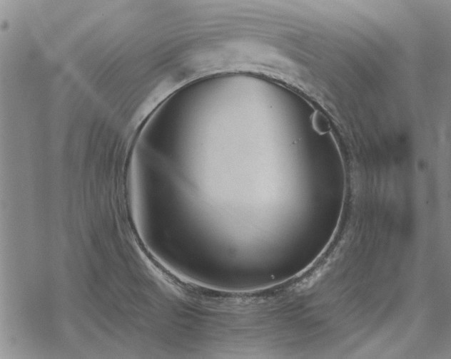 X0000068831521200605051223