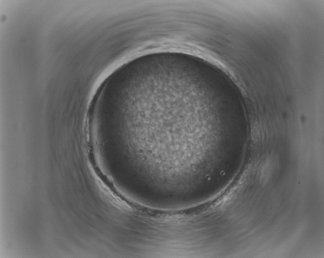 X0000068831522200605051223