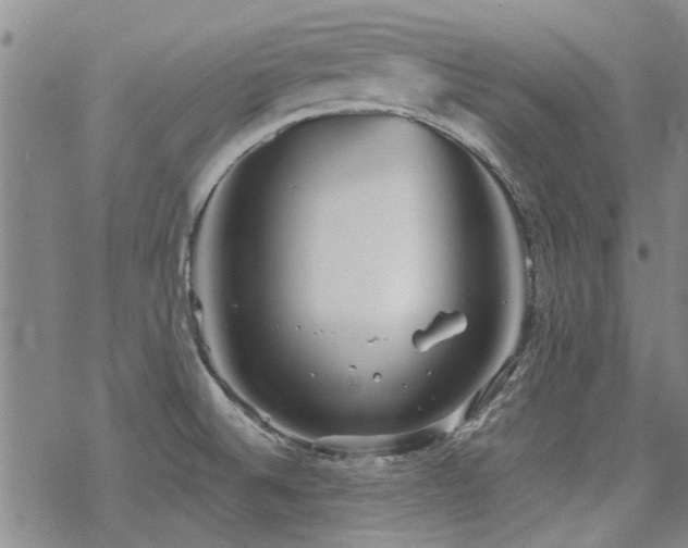 X0000068831524200605051223