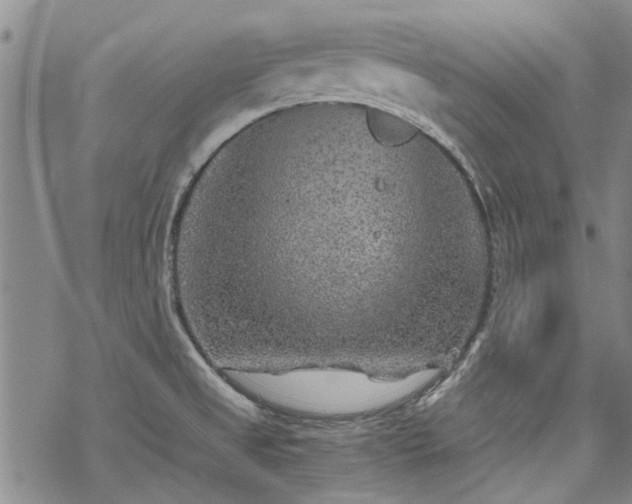 X0000068831525200605051223