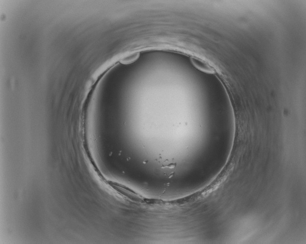 X0000068831526200605051223