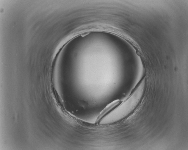 X0000068831530200605051223