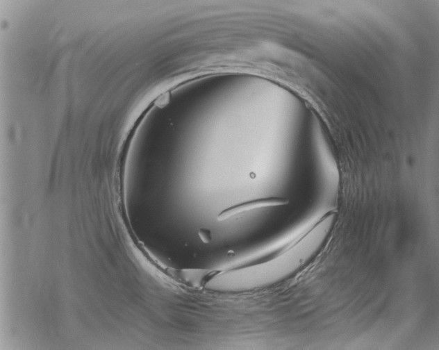 X0000068831531200605051223