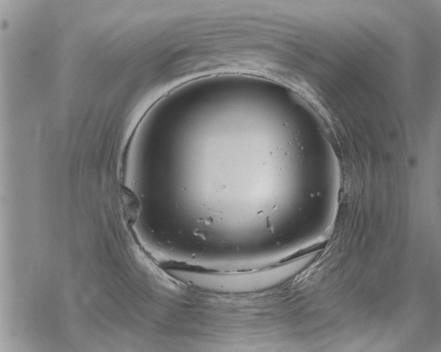 X0000068831532200605051223