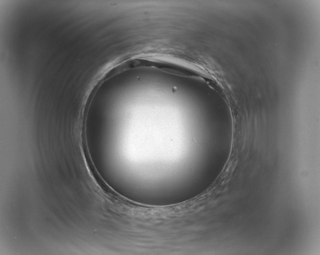 X0000068830003200605081225