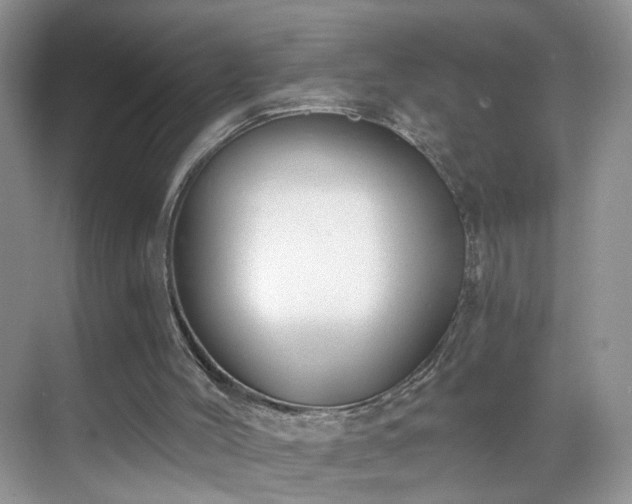 X0000068830004200605081225