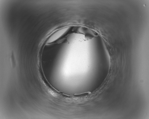 X0000068830005200605081225