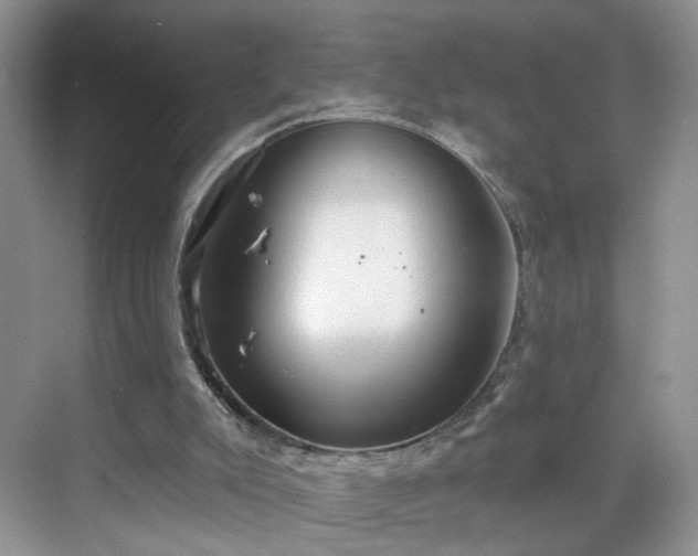 X0000068830007200605081225