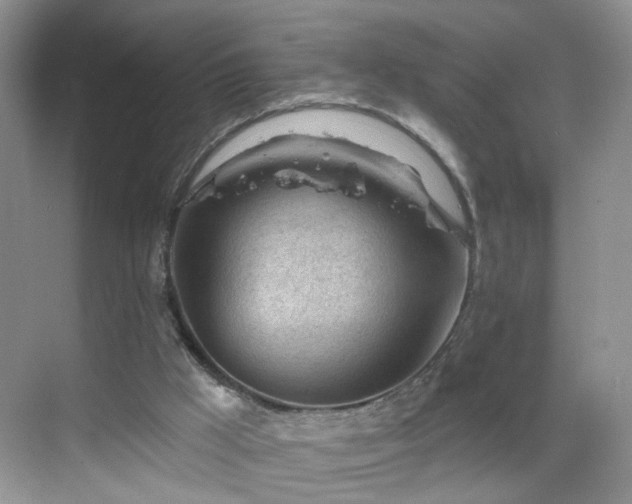 X0000068830009200605081225